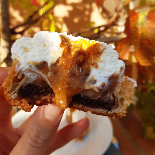 Choux chocolat praliné